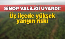 Üç ilçede yüksek yangın riski