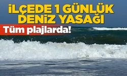 Sinop'un bir ilçesinde denize giriş yasaklandı