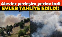 Sinop'ta orman yangını: Evler tahliye edildi!