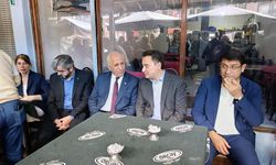 Ali Babacan'ın, Erfelek ziyareti