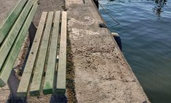 İlçe sahiline çöp atana ceza: Belediye kameradan tespit edecek