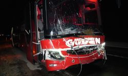 Yolcu otobüsü ve cip yola çıkan ineklere çarptı