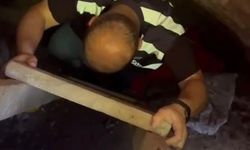 Anne ve oğlu kaçak kazıda yakalandı!