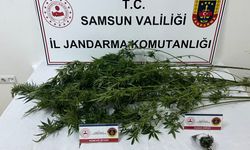 Narkotik operasyonunda 3 şüpheli yakalandı