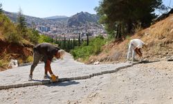 Tokat Ali Mezarlığı'nda düzenleme çalışmaları yapılıyor
