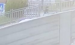 Aracın altında kalmaktan son anda kurtuldu