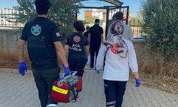 ‘Evden ceset kokusu geliyor’ ihbarı ekipleri harekete geçirdi