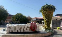 Festivale dev üzüm salgımı damga vurdu