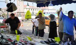 Hamsi için geri sayım başladı