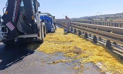 Kamyonet bariyerlere çarptı, patatesler yola saçıldı