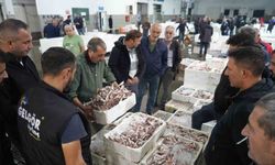 Kasalar dolusu balık mezat usulüyle satıldı
