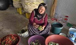 Kış hazırlıkları başladı