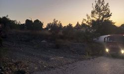 Orman yangını büyümeden söndürüldü