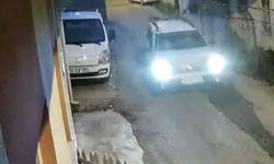Sinop’ta yavru kedinin talihsiz anı kamerada