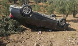 Zeytin bahçesine uçan otomobildeki 3 kişi yaralandı