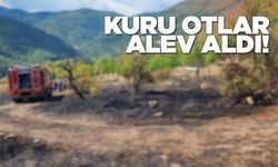 Sinop'ta otluk alan yandı