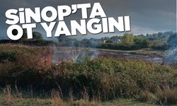 Sinop’ta arazide çıkan yangın korkuttu