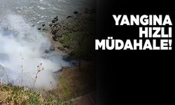 Sinop sahilindeki yangına hızlı müdahale