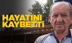 Sinoplu esnaftan acı haber