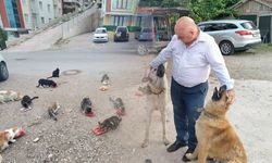 Başkan Aral'ın sokak hayvanlarıyla dostluğu gülümsetiyor