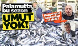 Sinoplu balıkçı palamuttan umudu kesti!