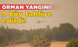 Kastamonu’da orman yangını: 9 köy tahliye edildi