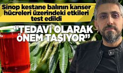 Sinop kestane balı mucizesi