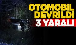 Sinop'ta devrilen otomobildeki 3 kişi yaralandı