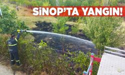 Sinop’ta kırsal alanda çıkan yangını korkuttu!