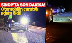 Sinop’ta feci kaza: Yaşlı adam hayatını kaybetti