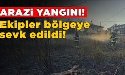 Sinop’ta çıkan arazi yangını korkuttu