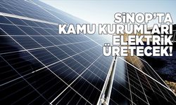 Sinop’ta bazı kamu kurumları kendi elektriğini üretecek