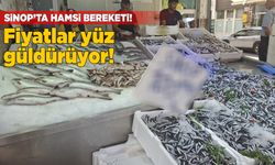 Sinop’ta hamsi bereketi vatandaşı sevindirdi