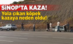 Sinop’ta yola çıkan köpek kazaya neden oldu