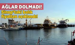 Sinop'ta denize açılan balıkçılar umduğunu bulamadı
