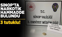 Sinop’ta narkotik operasyonu: 3 kişi tutuklandı