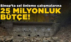 Sel kontrol çalışmalarına 25 milyon bütçe