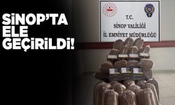 Sinop’ta kaçak tütün operasyonu