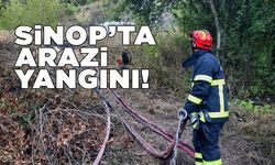 Sinop'ta otluk arazide yangın çıktı