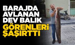 Durağan Barajı’nda dev yayın balığı yakalandı