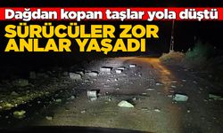 Sinop’ta sağanak sonrası yola taş düştü