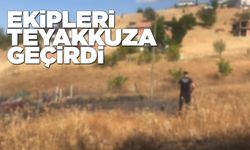 Otluk alanda yangın çıktı