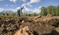 Çiftçilere 4,5 milyar liralık destekleme ödemesi başladı