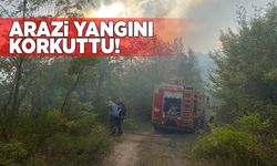 Arazide çıkan yangına müdahale edildi