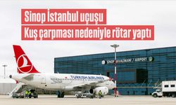 Sinop-İstanbul uçuşu kuş çarpması nedeniyle ertelendi