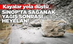 Sinop’ta sağanak sonrası heyelan