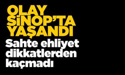 Sahte ehliyet polisin dikkatinden kaçmadı