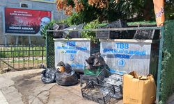 Tersane esnafı çöp sorunundan şikayetçi