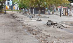 Sinop’ta beklenen çay bahçeleri için altyapı hazırlığı