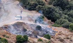Sinop Adabaşı mevkiinde yangın korkuttu